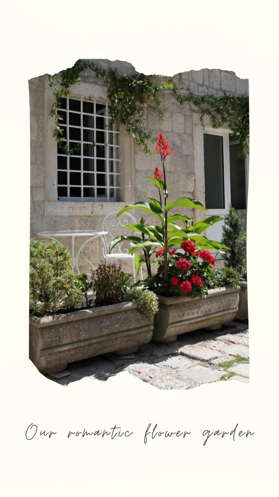 Apartments Visit Perast Exterior foto