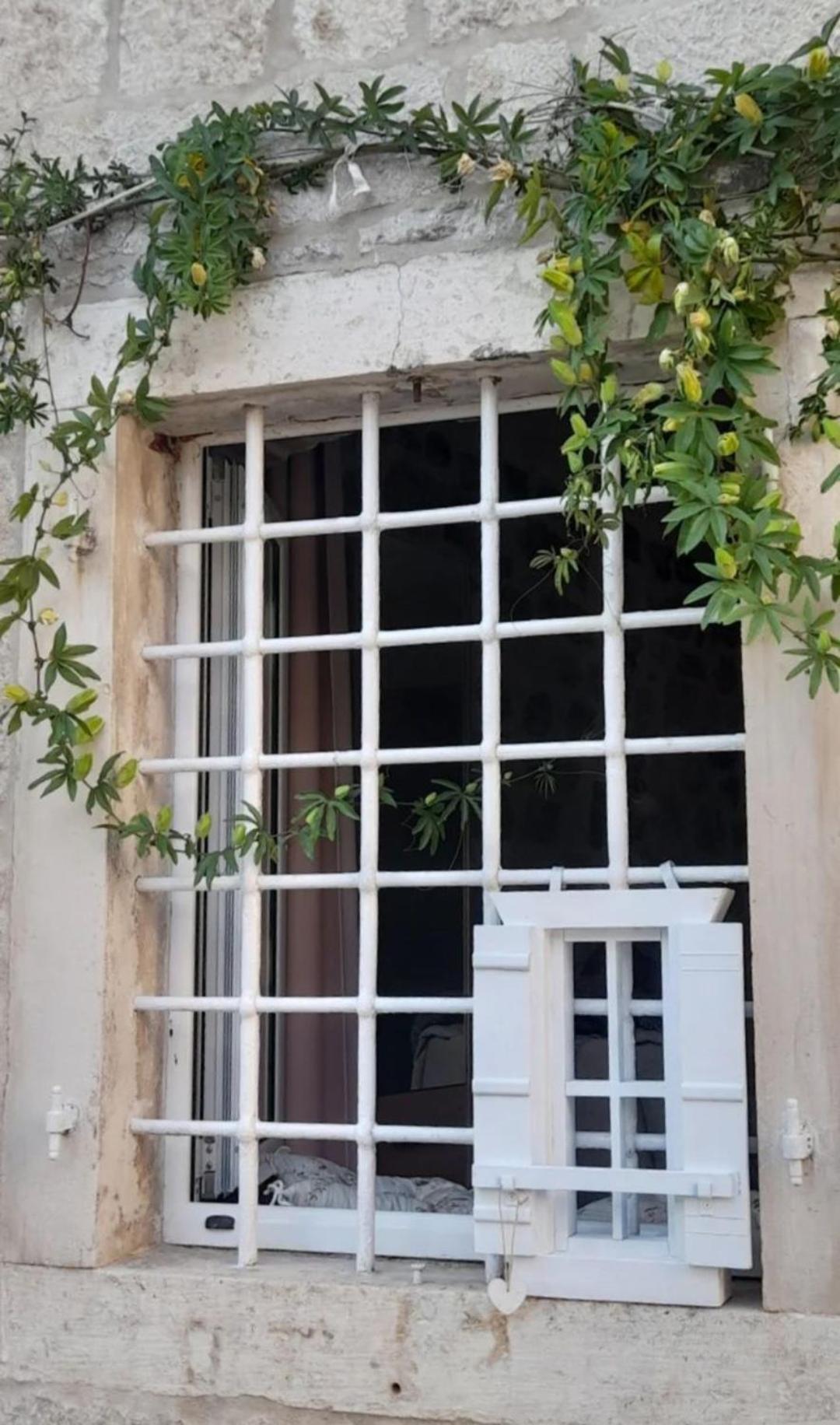Apartments Visit Perast Exterior foto